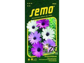 OSTEOSPERMUM BALADE - směs 0.30 g