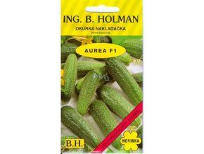 OKURKA AUREA F1 - nakladačka 2.5 g