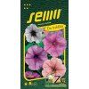 PETUNIE  MNOHOKVĚTÁ - směs s orchid. hvězdou 50 p