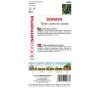 tykev cuketa soraya 15 g (1)