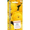 PATIZON - GOLDEN MARBRE 10 s