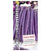 FAZOLE PURPLE TEEPEE - keříčková 10 g