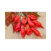 PAPRIKA AJI ROJO - chilli 10 s