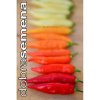 PAPRIKA OMNICOLOR - pálivá 10 KS