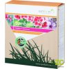 Symbivit muškát - mykorhizní houba