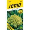 KVĚTÁK VERONICA F1 typ ROMANESCO 10 s