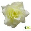ruze-latkova-7-cm-zlutobila