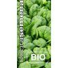 bio spenat winterreuzen 4 g
