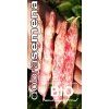 bio fazol tyckovy borlotto lingua di fuoco 3 10 g