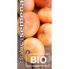 bio cibule kuchynska stutgartska 2 g