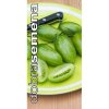 ARTISAN GREEN TIGER 10 ks Rajce tyckove