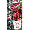 PAPRIKA ROČNÍ CILIEGIA PICCANTE chilli 0,3 g