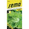 salat hlavkovy smaragdus 0 5 g celorocni