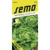 salat hlavkovy titanus 0 5 g jarni a podzimni