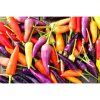 paprika bolivian rainbow rocni chilli 10 s3