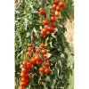 rajce bio primabella 10 s tyckove 3