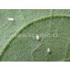 agrobio microcat flic inporo 1