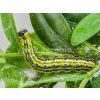 agrobio microcat flic inporo 2
