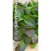 red giant mustard listova horcice 2 g