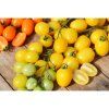 rajce tyckove appleberry yellow f1 6 s 2