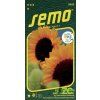 slunecnice-rocni-sunrich-orange-f1-15s-serie-kvetiny-k-rezu