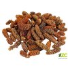dekorace prizdoba birch pine sisky 250 g