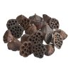 dekorace-lotos-stredni-5-8cm-20-ks