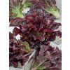 salat-dark-roden-kaderavy-0-6-g