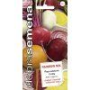 repa salatova rainbow mix kulata smes 60 s