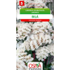 limonka-chobotnata-statice--bila-0-2-g