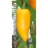 paprika snacking yellow f1 zeleninova 10 s