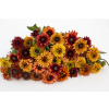 rudbekie-sahara-30s