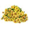 cinie-queen-lime-blotch-50s