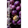 mochyne duznatoploda purple 40 s