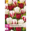 karta-xxl-tulipan-dutch-design-mix--15-cibuli-