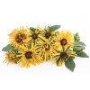 rudbekie chim chiminee 100s