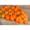 rajce tyckove appleberry orange f1 6 s 1