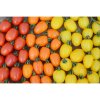 rajce tyckove appleberry orange f1 6 s 4