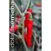 BLACK KOBRA 10 ks Paprika chilli