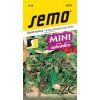 SALÁT KADEŘAVÝ K ŘEZU - směs mladých listů 1.5 g