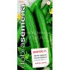 OKURKA SANTOS F1 - skleníková 10 s