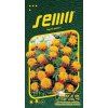 AKSAMITNÍK ROZKLADITÝ - Tiger Eyes 1 g