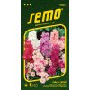 FIALA LETNÍ -  směs 0.5 g