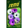 OSTEOSPERMUM BALADE - směs 0.30 g
