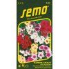 PLAMÉNKA FLOX - BEAUTY směs 0.3 g