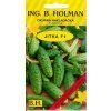 OKURKA JITKA F1 - nakladačka 2.5 g