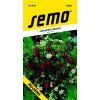 JAHODNÍK RUJÁNA - měsíční 0.2 g