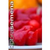 PAPRIKA PEITO DE MOCA - středně pálivá 10 s