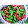 PAPRIKA SHISHITO - roční 20 s