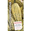 TYKEV VELKOPLODÁ - BUSH DELICATA 10 s